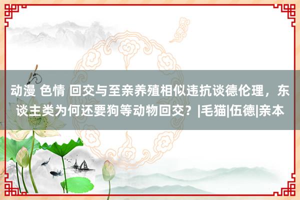 动漫 色情 回交与至亲养殖相似违抗谈德伦理，东谈主类为何还要狗等动物回交？|毛猫|伍德|亲本