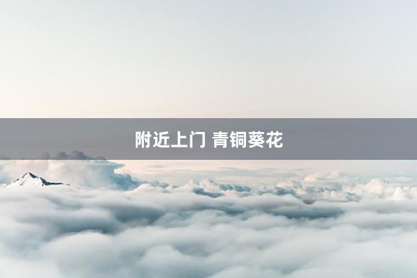 附近上门 青铜葵花