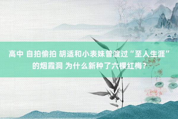 高中 自拍偷拍 胡适和小表妹曾渡过“至人生涯”的烟霞洞 为什么新种了六棵红梅？