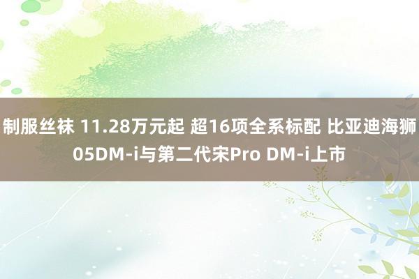 制服丝袜 11.28万元起 超16项全系标配 比亚迪海狮05DM-i与第二代宋Pro DM-i上市