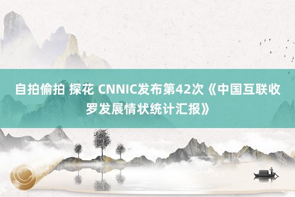 自拍偷拍 探花 CNNIC发布第42次《中国互联收罗发展情状统计汇报》